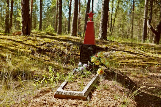 Kuvituskuva uutiseen: Alina-myrsky kaatoi puita hautausmaalla Tohmajärvellä, mutta vahingot jäivät pelättyä pienemmiksi …