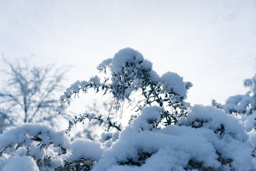 Kuvituskuva uutiseen: Merz varoittaa Yhdysvaltoja sekaantumasta Saksan vaaleihin (saksa, yhdysvallat)