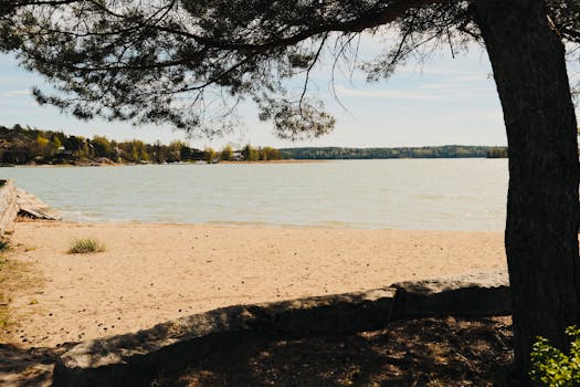 Kuvituskuva uutiseen: Vihreät ei irtaudu velkajarrusta, mutta haluaa väljemmän tulkinnan (vihreät, puoluekokous)
